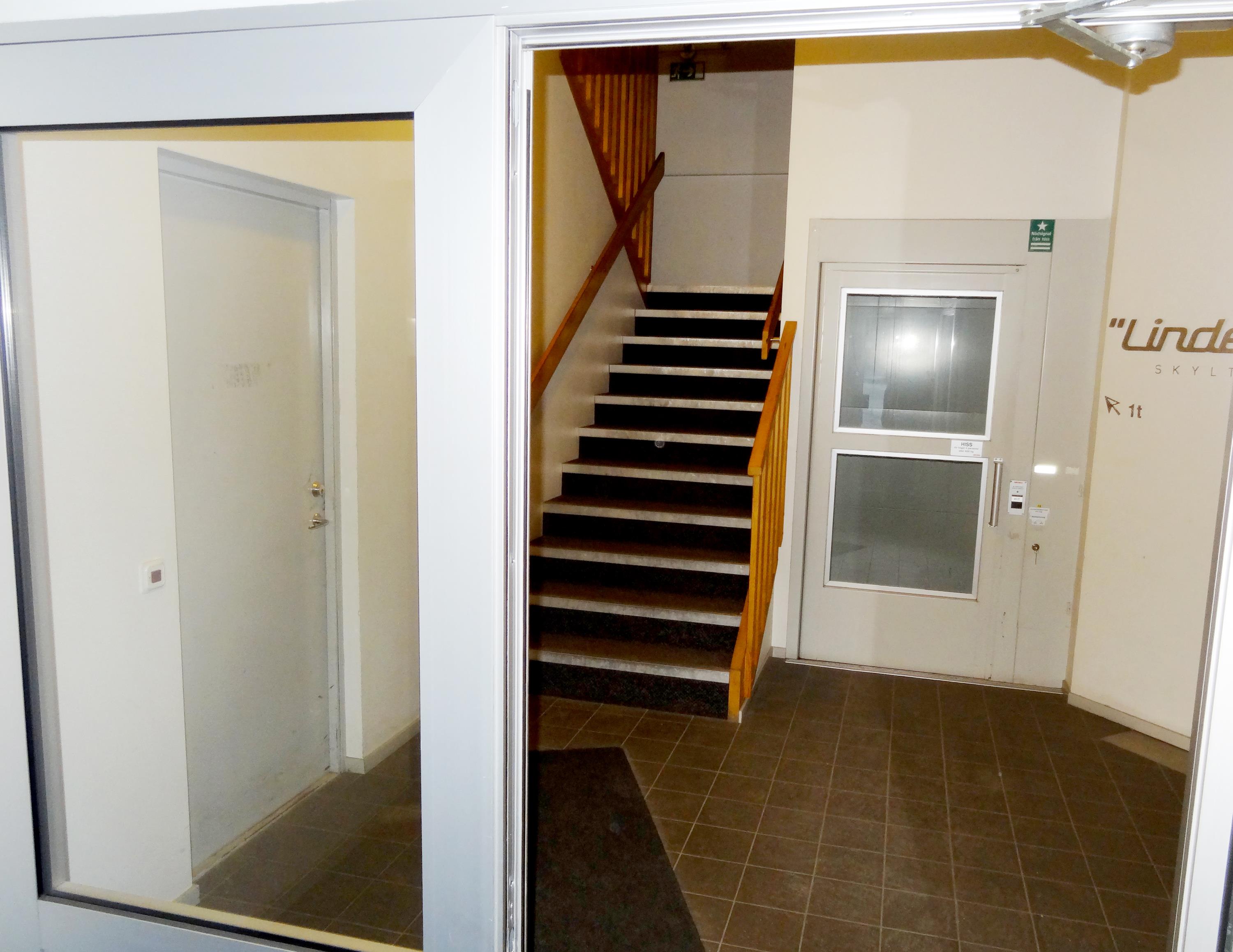 Vivstamon 1:51_Timrå Vivstamon 1:51_Timrå